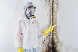 Best Water Damage & Mold Remediation  in Morrisville, NY